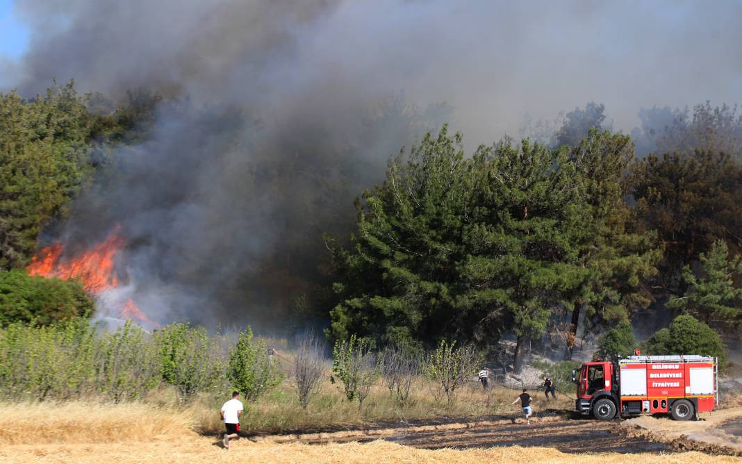 Çanakkale'deki Tarihi Alan'ın güney hattı ziyarete açıldı! Orman yangınında kapatılmıştı - Resim: 63